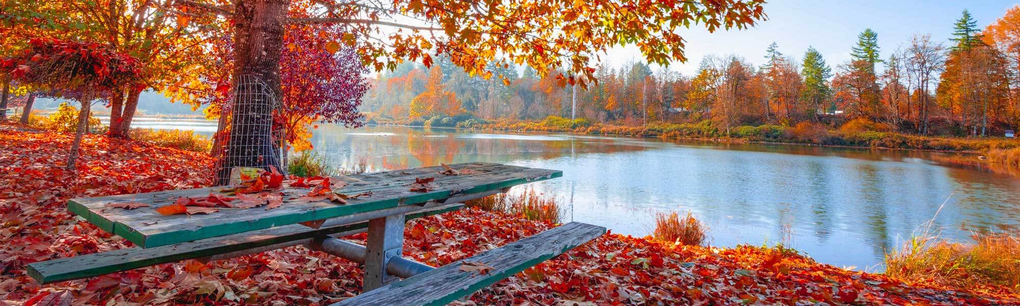 Lake
