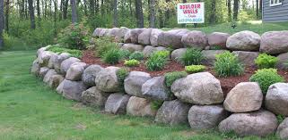 Landscape plants